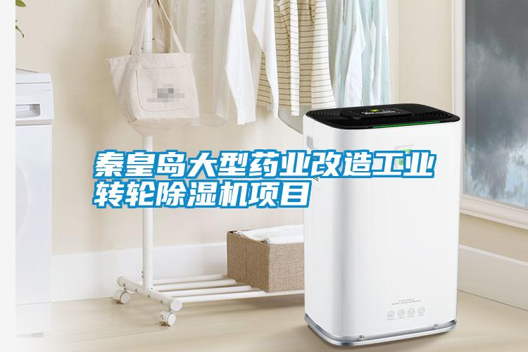 秦皇島大型藥業(yè)改造工業(yè)轉(zhuǎn)輪除濕機(jī)項目