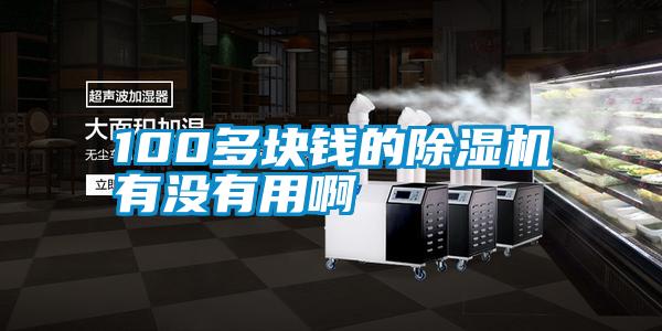 100多塊錢的除濕機(jī)有沒有用啊