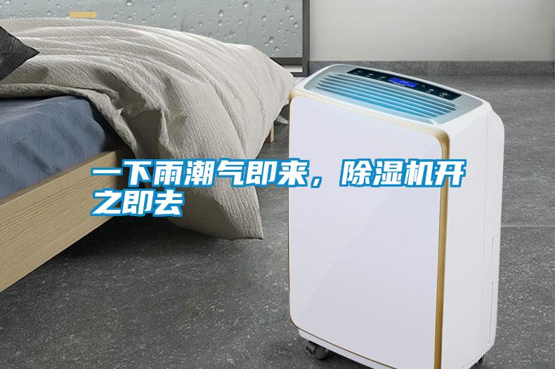 一下雨潮氣即來(lái)，除濕機(jī)開(kāi)之即去