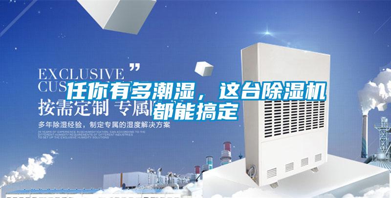 任你有多潮濕，這臺(tái)除濕機(jī)都能搞定