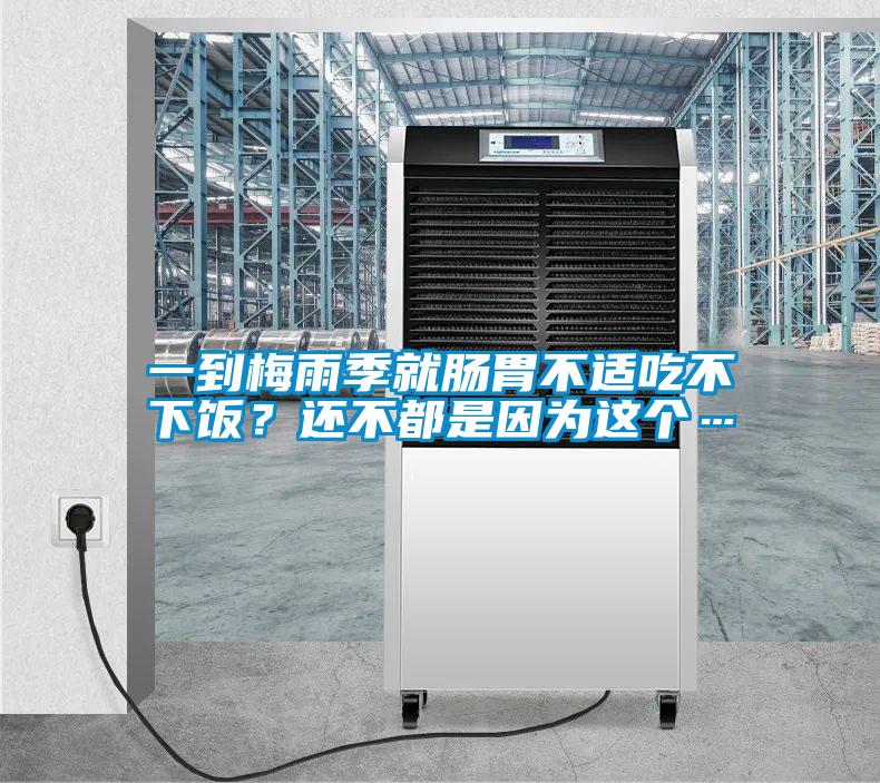 一到梅雨季就腸胃不適吃不下飯？還不都是因?yàn)檫@個(gè)…