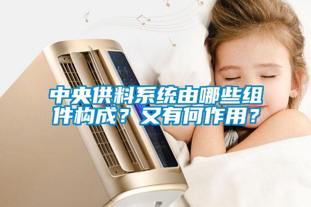 中央供料系統(tǒng)由哪些組件構(gòu)成？又有何作用？