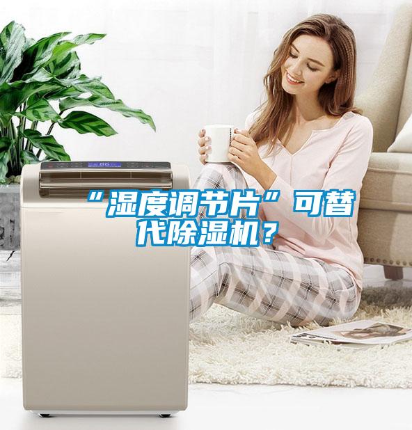“濕度調(diào)節(jié)片”可替代除濕機(jī)？