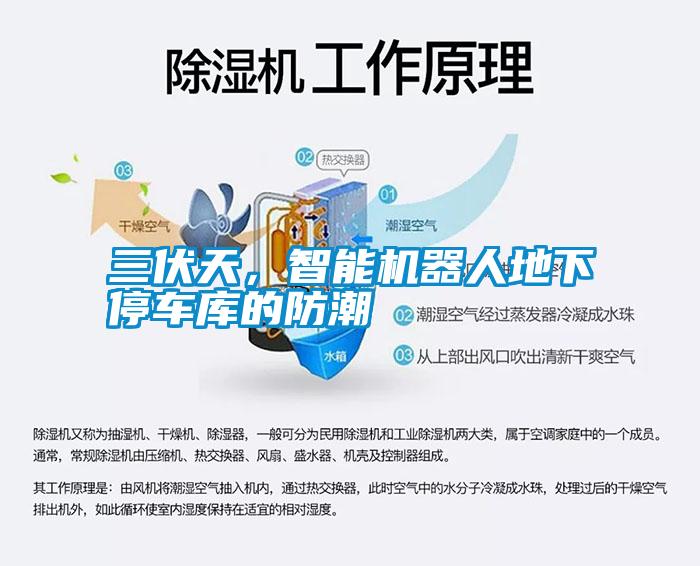 三伏天，智能機器人地下停車庫的防潮