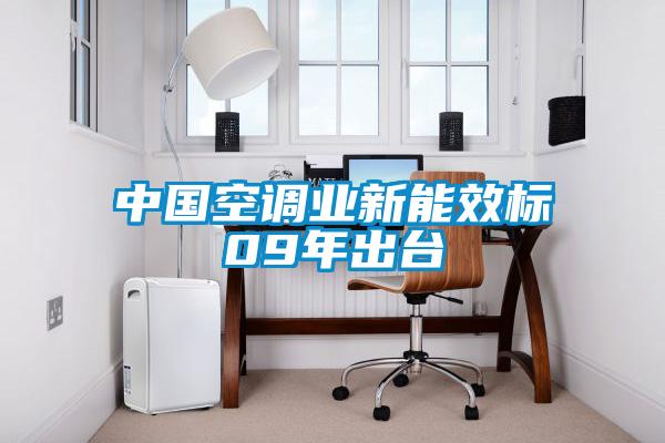 中國空調(diào)業(yè)新能效標(biāo)09年出臺(tái)