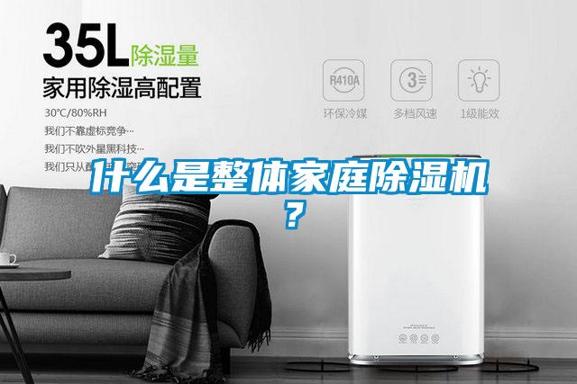 什么是整體家庭除濕機(jī)？