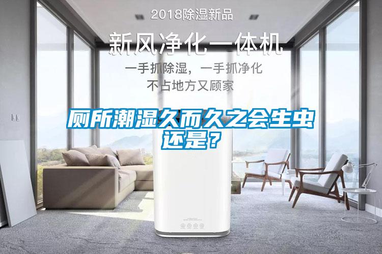 廁所潮濕久而久之會生蟲還是？