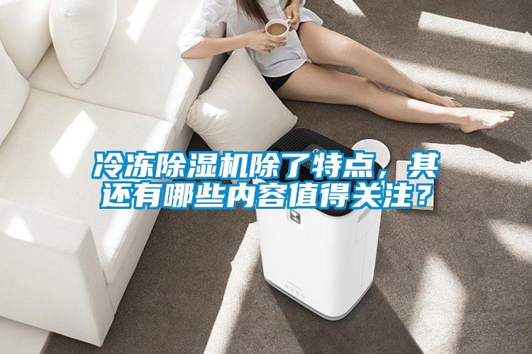 冷凍除濕機(jī)除了特點(diǎn),其還有哪些內(nèi)容值得關(guān)注?