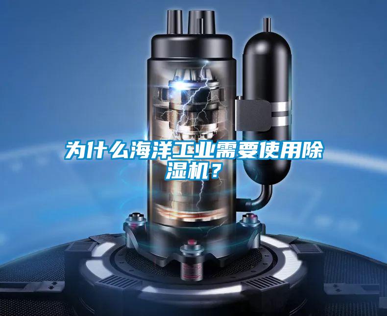 為什么海洋工業(yè)需要使用除濕機(jī)？