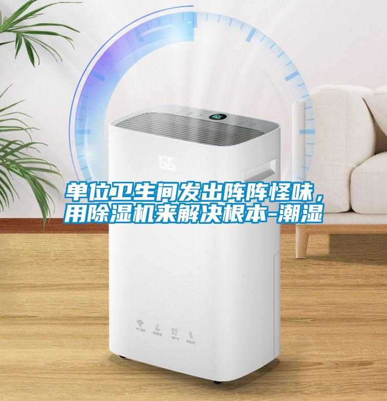 單位衛生間發出陣陣怪味，用除濕機來解決根本-潮濕