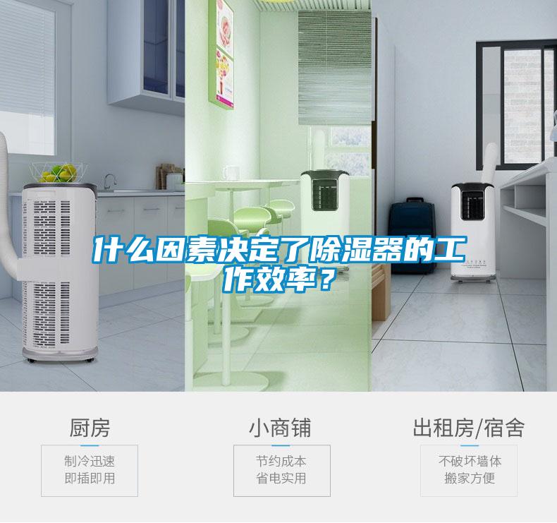 什么因素決定了除濕器的工作效率？