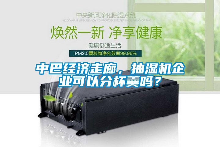 中巴經(jīng)濟(jì)走廊，抽濕機企業(yè)可以分杯羹嗎？