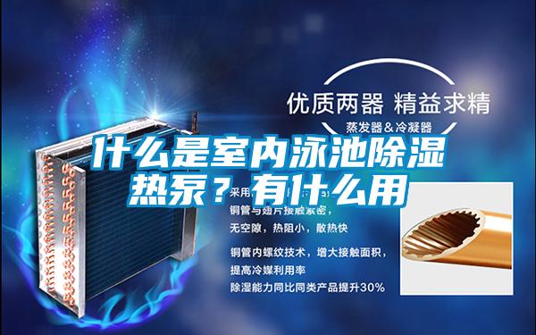 什么是室內泳池除濕熱泵？有什么用