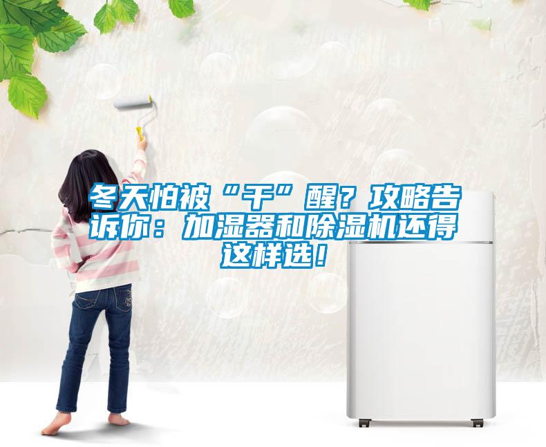 冬天怕被“干”醒？攻略告訴你：加濕器和除濕機還得這樣選！