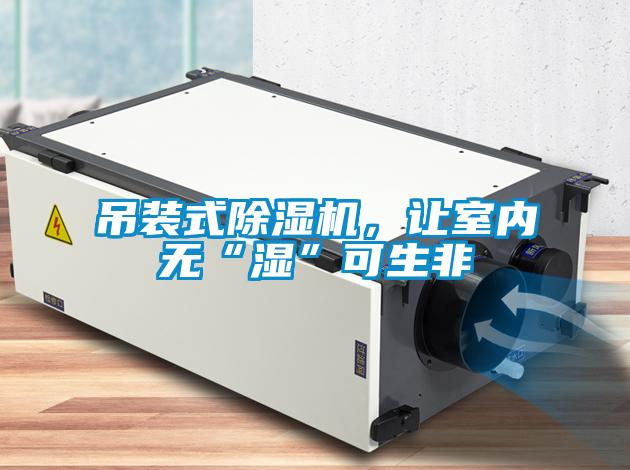 吊裝式除濕機(jī)，讓室內(nèi)無(wú)“濕”可生非
