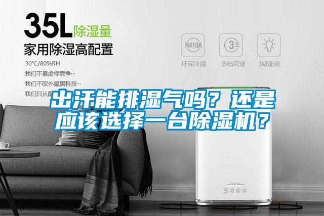 出汗能排濕氣嗎？還是應該選擇一臺除濕機？