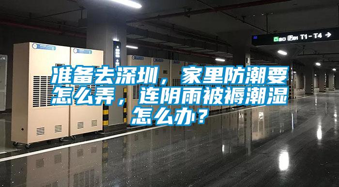 準(zhǔn)備去深圳，家里防潮要怎么弄，連陰雨被褥潮濕怎么辦？