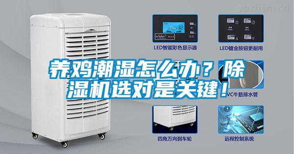 養雞潮濕怎么辦？除濕機選對是關鍵！