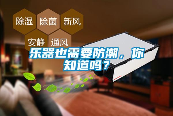 樂器也需要防潮，你知道嗎？