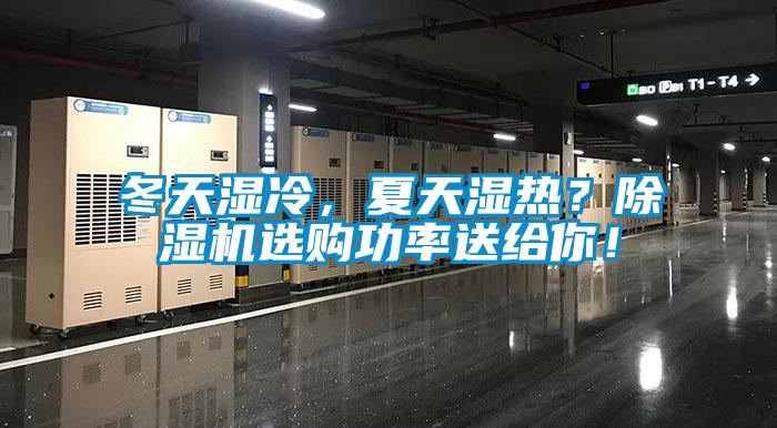 冬天濕冷，夏天濕熱？除濕機選購功率送給你！