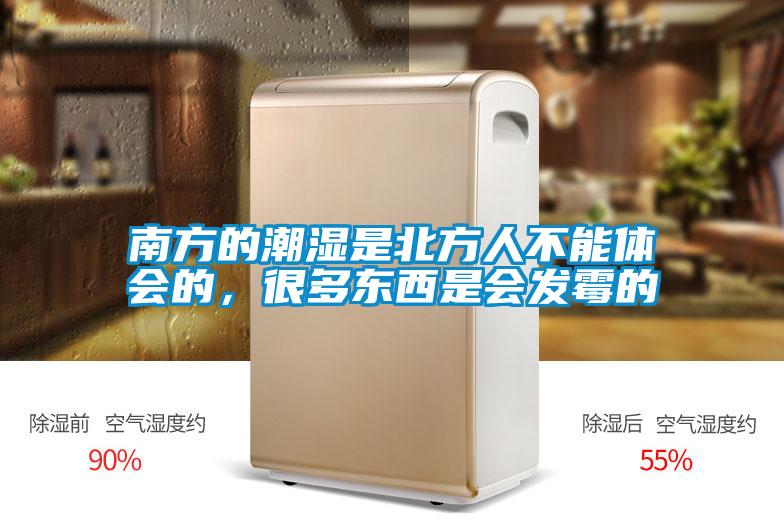 南方的潮濕是北方人不能體會的，很多東西是會發霉的