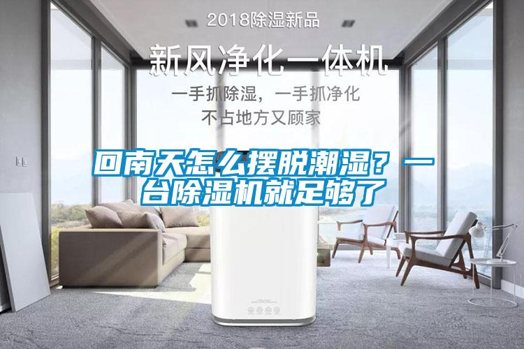 回南天怎么擺脫潮濕？一臺除濕機就足夠了