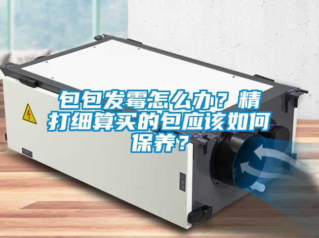 包包發(fā)霉怎么辦？精打細算買的包應(yīng)該如何保養(yǎng)？