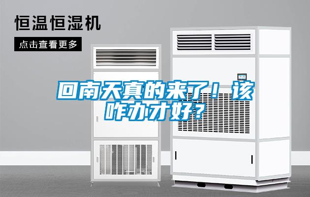 回南天真的來(lái)了！該咋辦才好？