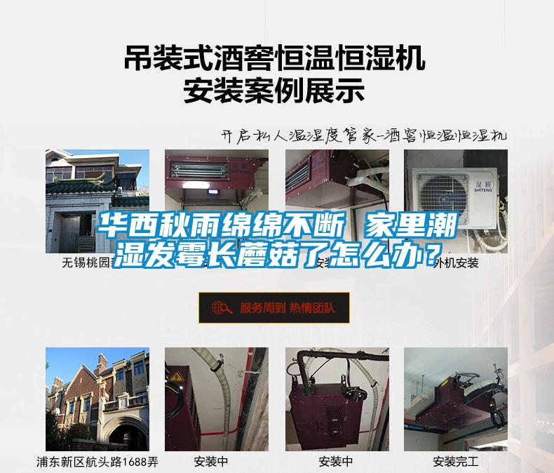 華西秋雨綿綿不斷 家里潮濕發霉長蘑菇了怎么辦？