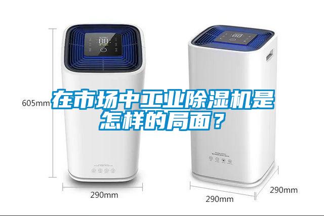 在市場中工業除濕機是怎樣的局面？