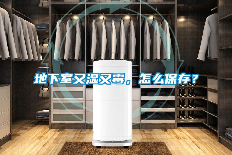 地下室又濕又霉，怎么保存？