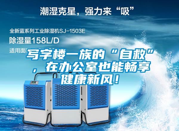 寫字樓一族的“自救”，在辦公室也能暢享健康新風！