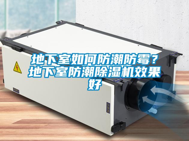 地下室如何防潮防霉？地下室防潮除濕機效果好