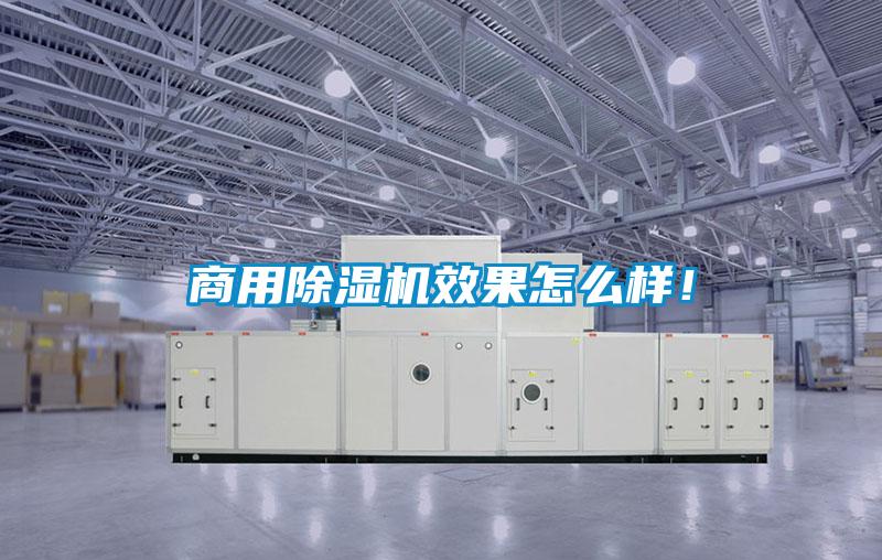 商用除濕機效果怎么樣！