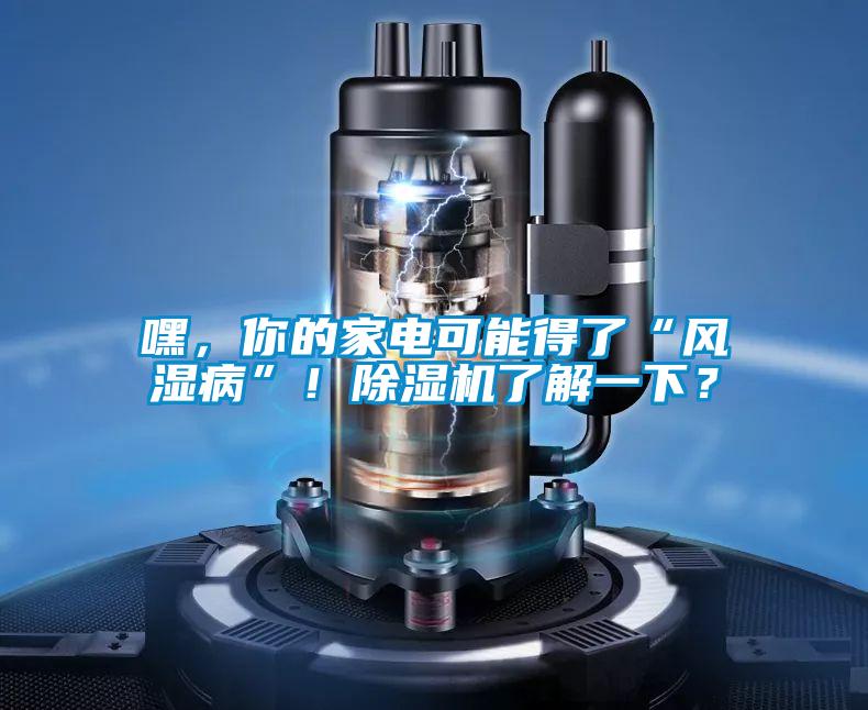 嘿，你的家電可能得了“風濕病”！除濕機了解一下？