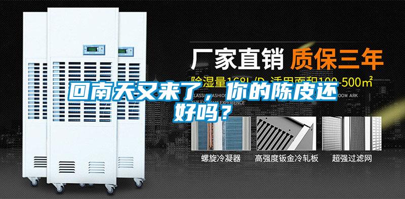 回南天又來(lái)了，你的陳皮還好嗎？