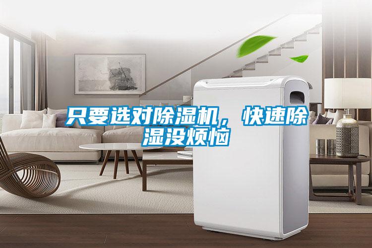 只要選對除濕機(jī)，快速除濕沒煩惱