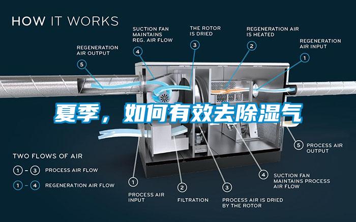 夏季，如何有效去除濕氣