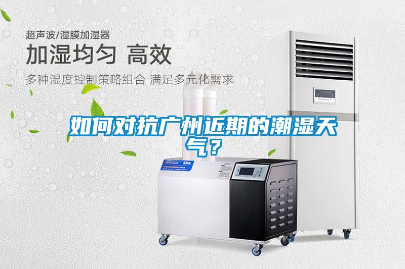 如何對抗廣州近期的潮濕天氣？