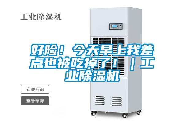 好險(xiǎn)！今天早上我差點(diǎn)也被吃掉了！｜工業(yè)除濕機(jī)
