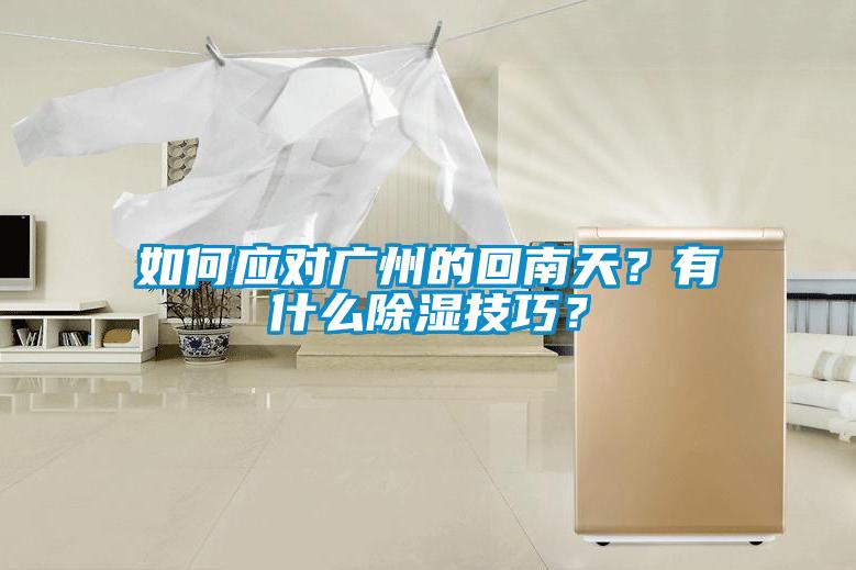 如何應(yīng)對廣州的回南天？有什么除濕技巧？