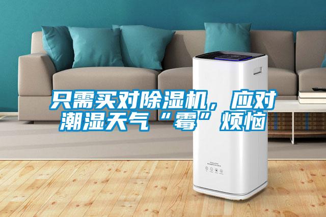 只需買對除濕機，應對潮濕天氣“霉”煩惱