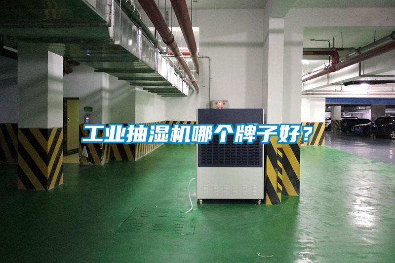 工業抽濕機哪個牌子好？