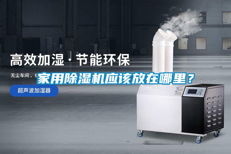 家用除濕機應該放在哪里？