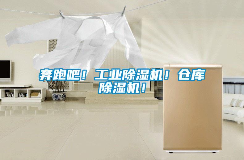 奔跑吧！工業(yè)除濕機(jī)！倉庫除濕機(jī)！