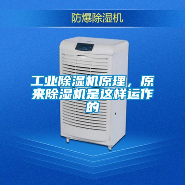 工業除濕機原理，原來除濕機是這樣運作的