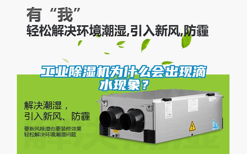 工業(yè)除濕機為什么會出現(xiàn)滴水現(xiàn)象？