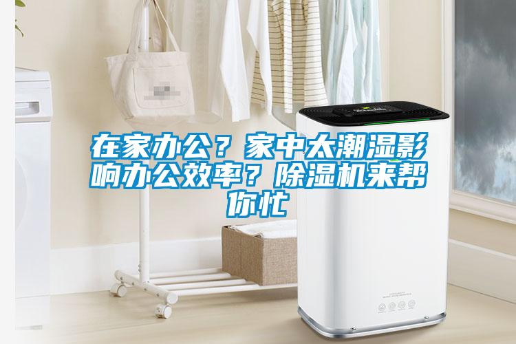 在家辦公？家中太潮濕影響辦公效率？除濕機來幫你忙