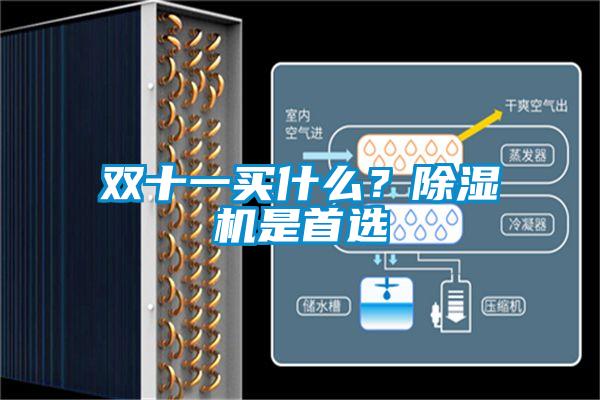 雙十一買什么？除濕機(jī)是首選