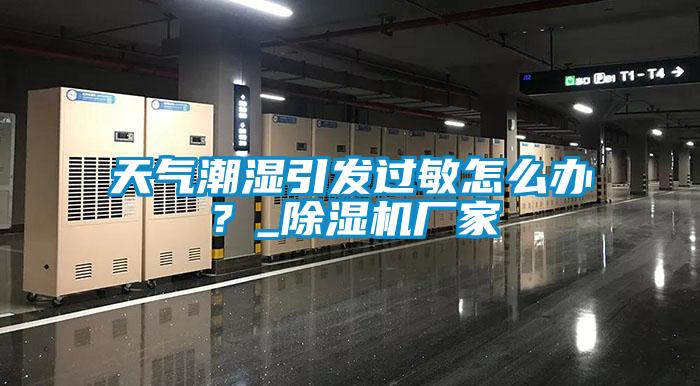 天氣潮濕引發(fā)過(guò)敏怎么辦？_除濕機(jī)廠家